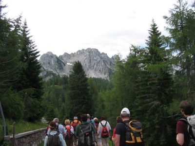 Kliknite za ogled večje slike