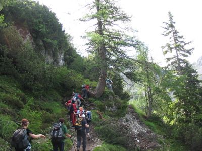 Kliknite za ogled večje slike