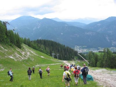 Kliknite za ogled večje slike