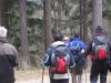 hKKPRdeciBricnik280309_043.jpg