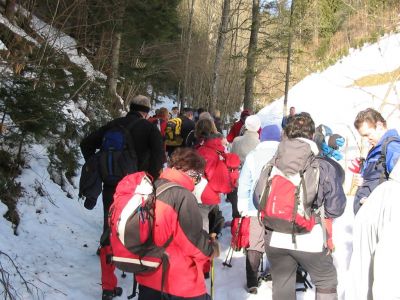 Kliknite za ogled večje slike