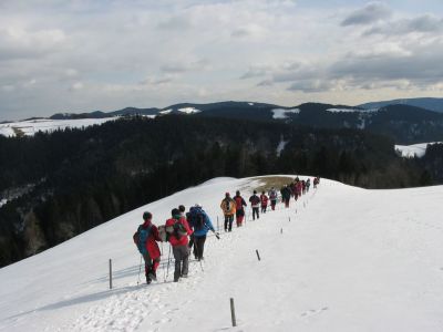 Kliknite za ogled večje slike