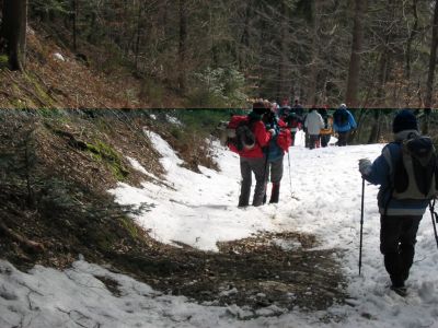 Kliknite za ogled večje slike