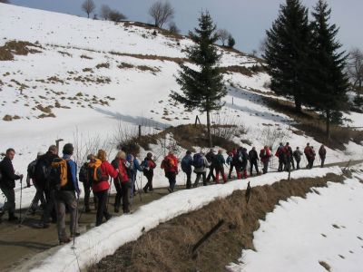 Kliknite za ogled večje slike