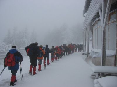 Kliknite za ogled večje slike