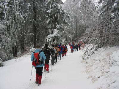 Kliknite za ogled večje slike