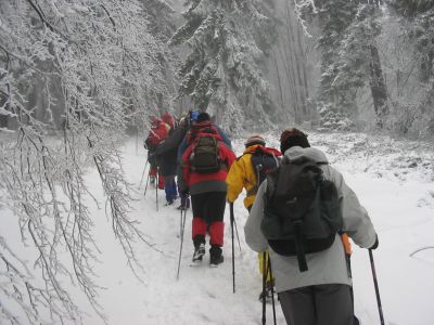 Kliknite za ogled večje slike