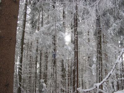 Kliknite za ogled večje slike