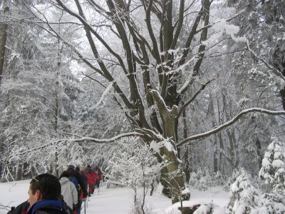 Kliknite za ogled večje slike