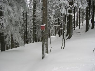 Kliknite za ogled večje slike
