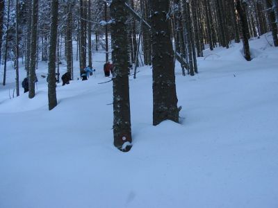 Kliknite za ogled večje slike