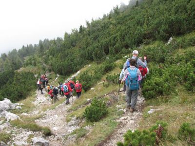 Kliknite za ogled večje slike