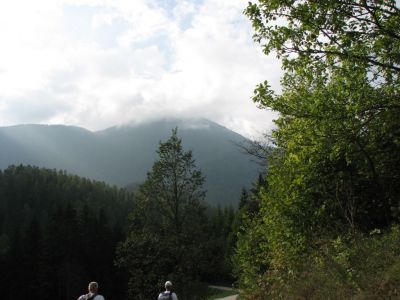 Kliknite za ogled večje slike