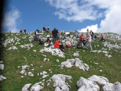 Kliknite za ogled večje slike