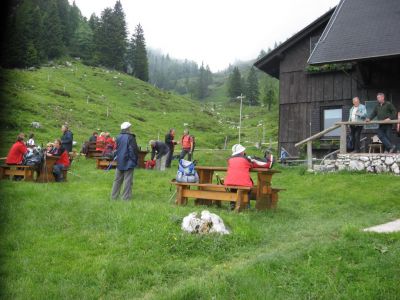 Kliknite za ogled večje slike