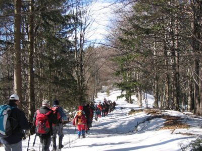 Kliknite za ogled večje slike