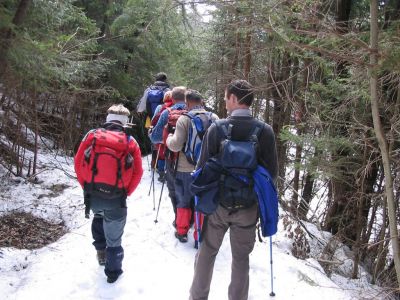 Kliknite za ogled večje slike