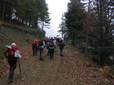 Kliknite za ogled večje slike