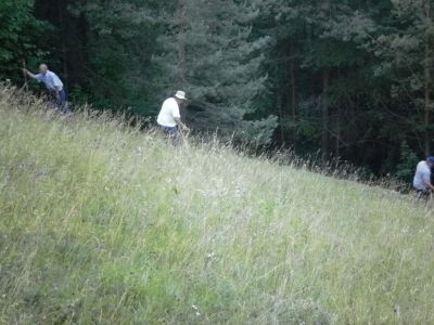 Kliknite za ogled večje slike