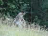 20100710_05.JPG
