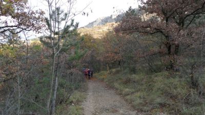 Kliknite za ogled večje slike