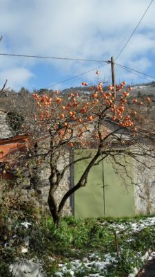Kliknite za ogled večje slike