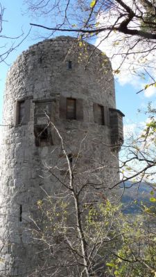 Kliknite za ogled večje slike