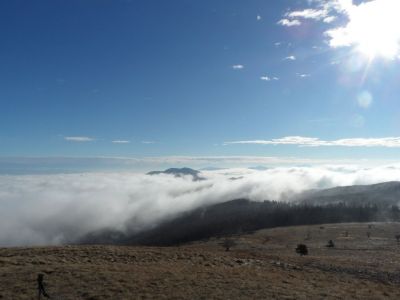 Kliknite za ogled večje slike