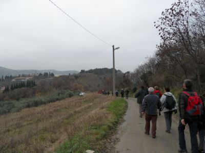 Kliknite za ogled večje slike