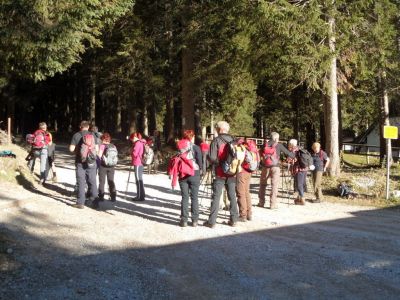 Kliknite za ogled večje slike
