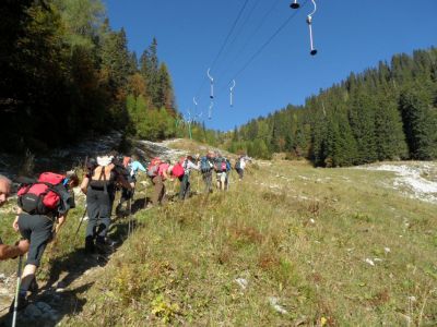 Kliknite za ogled večje slike