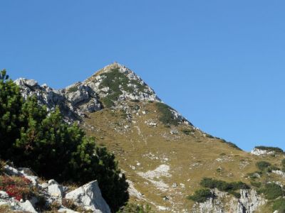 Kliknite za ogled večje slike