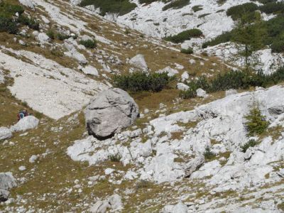 Kliknite za ogled večje slike