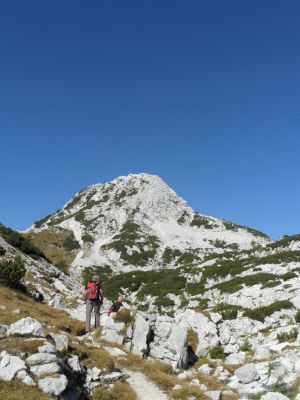 Kliknite za ogled večje slike