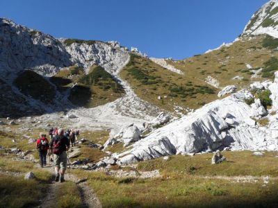Kliknite za ogled večje slike