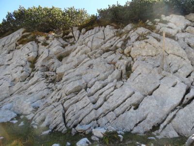 Kliknite za ogled večje slike