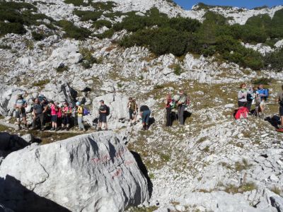 Kliknite za ogled večje slike