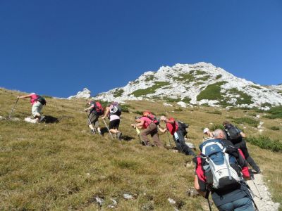 Kliknite za ogled večje slike