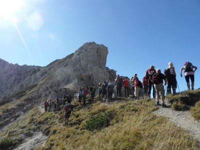 Kliknite za ogled večje slike