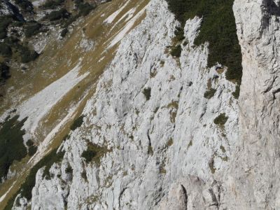 Kliknite za ogled večje slike