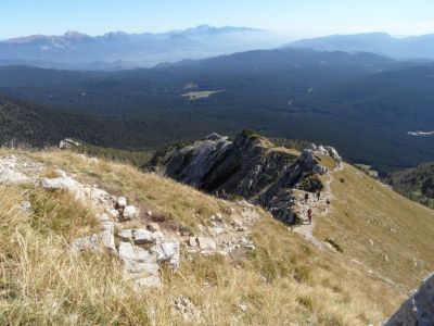 Kliknite za ogled večje slike