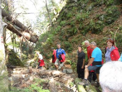 Kliknite za ogled večje slike