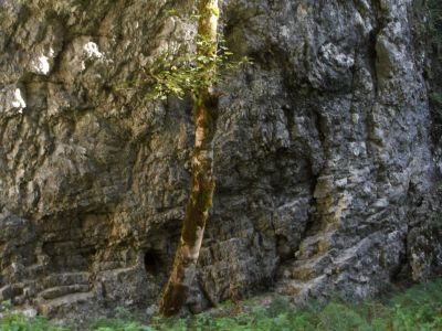 Kliknite za ogled večje slike