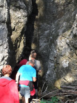 Kliknite za ogled večje slike