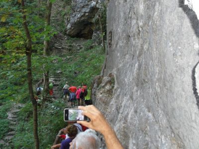 Kliknite za ogled večje slike
