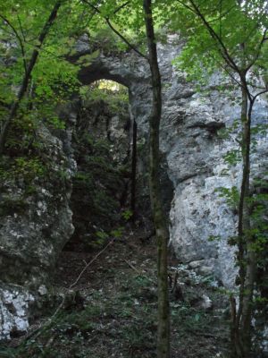 Kliknite za ogled večje slike
