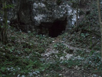 Kliknite za ogled večje slike