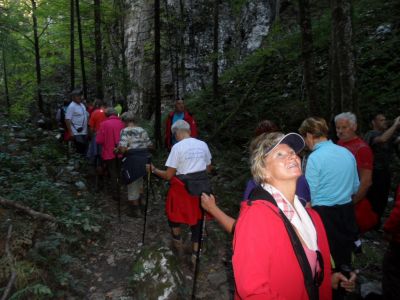 Kliknite za ogled večje slike