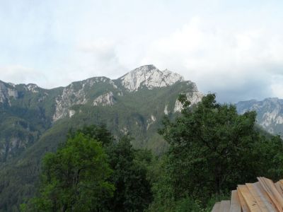 Kliknite za ogled večje slike