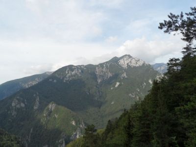 Kliknite za ogled večje slike